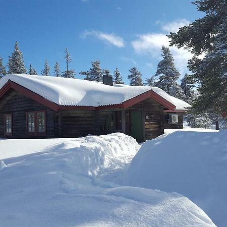 Saelens Bed & Breakfast Apartments Exterior foto
